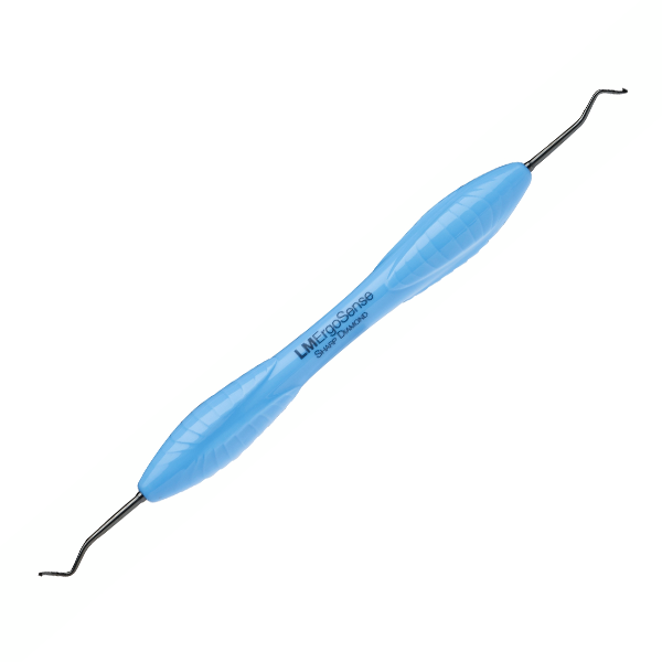 303-304sdes