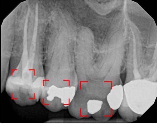 Case Study Image