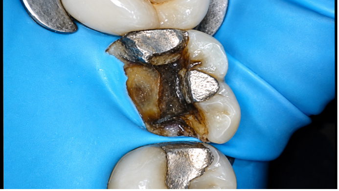 Case Study Image