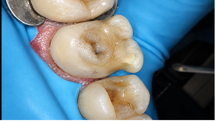 Case Study Image