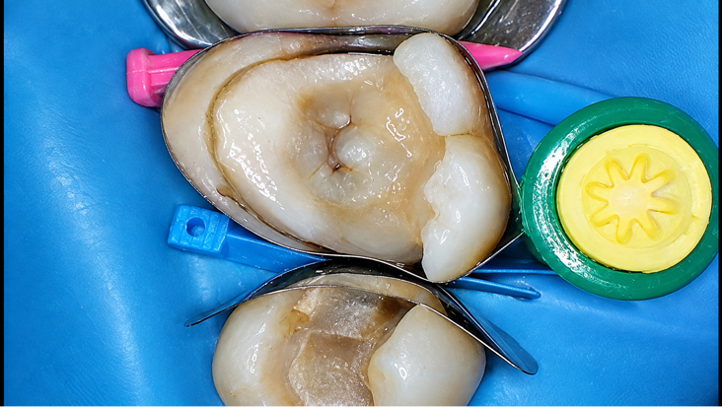 Case Study Image
