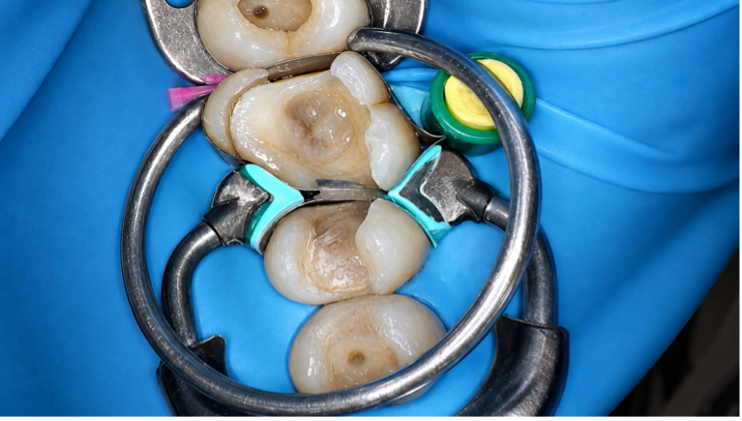 Case Study Image