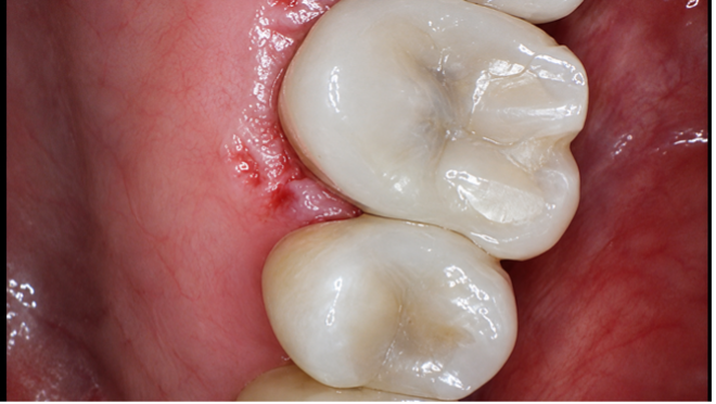 Case Study Image