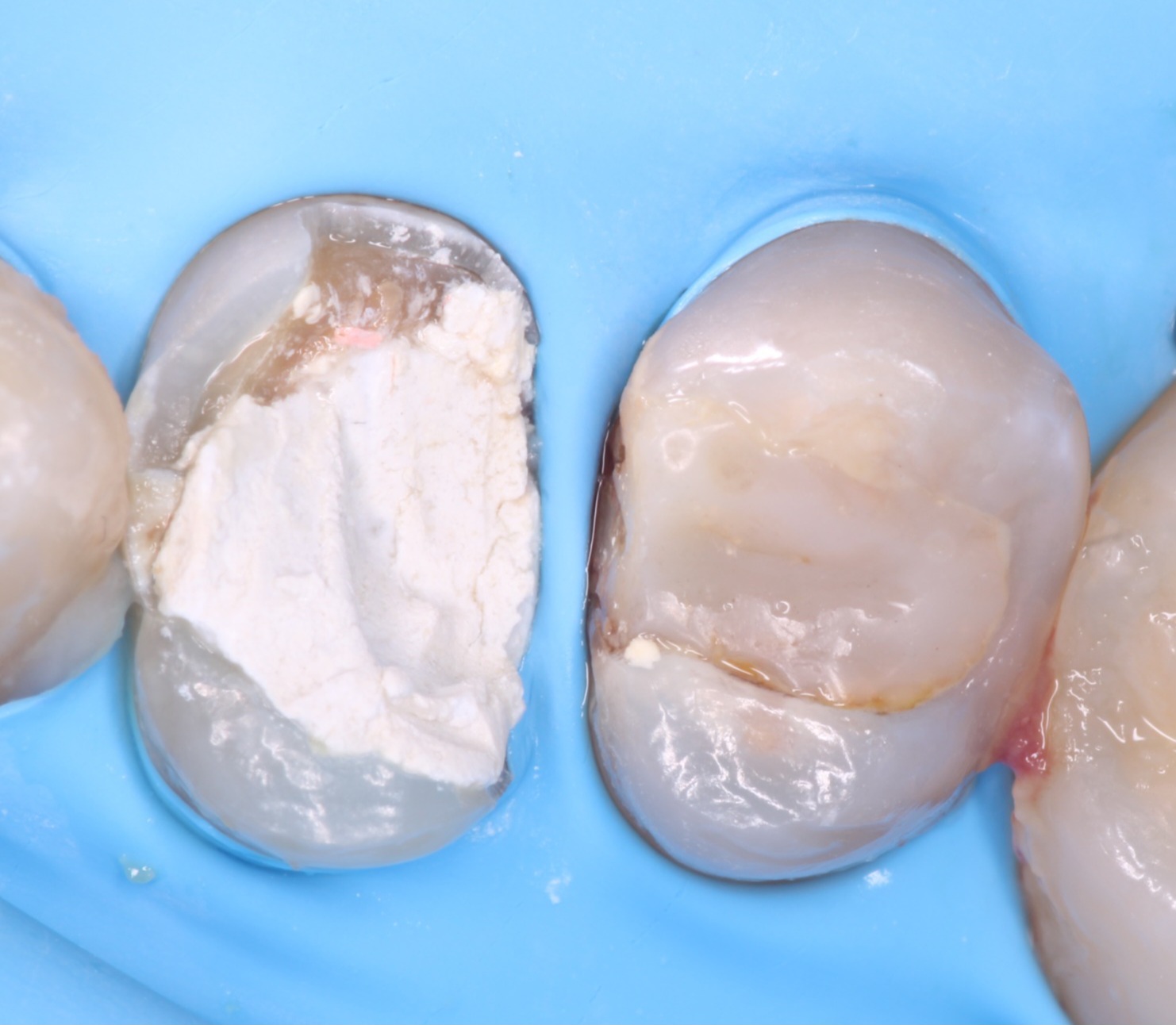 ReelMatrix case study, Dr. Maria Naranjo Image