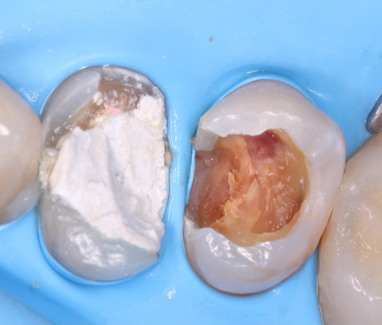 ReelMatrix case study, Dr. Maria Naranjo Image