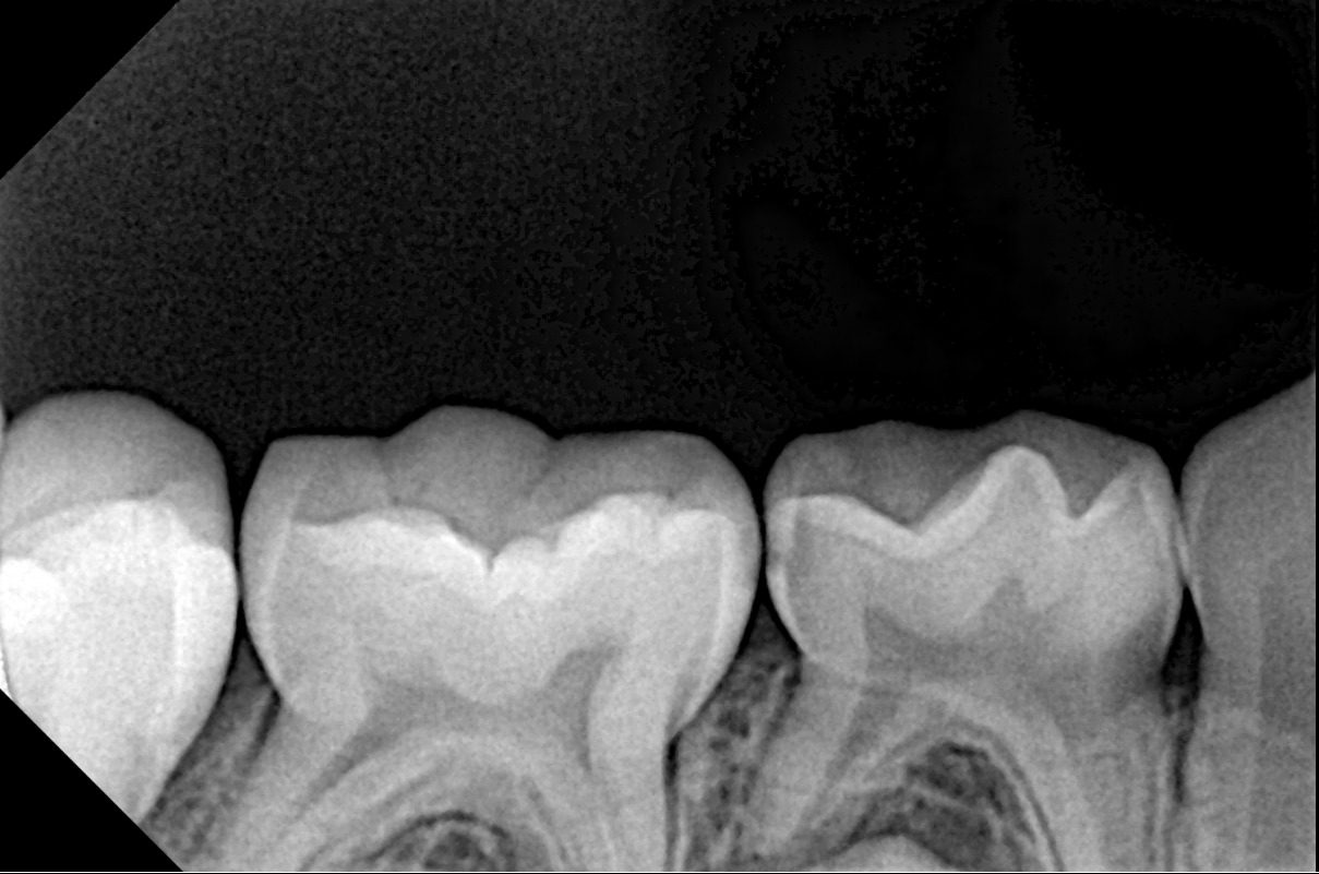 Case Study Image