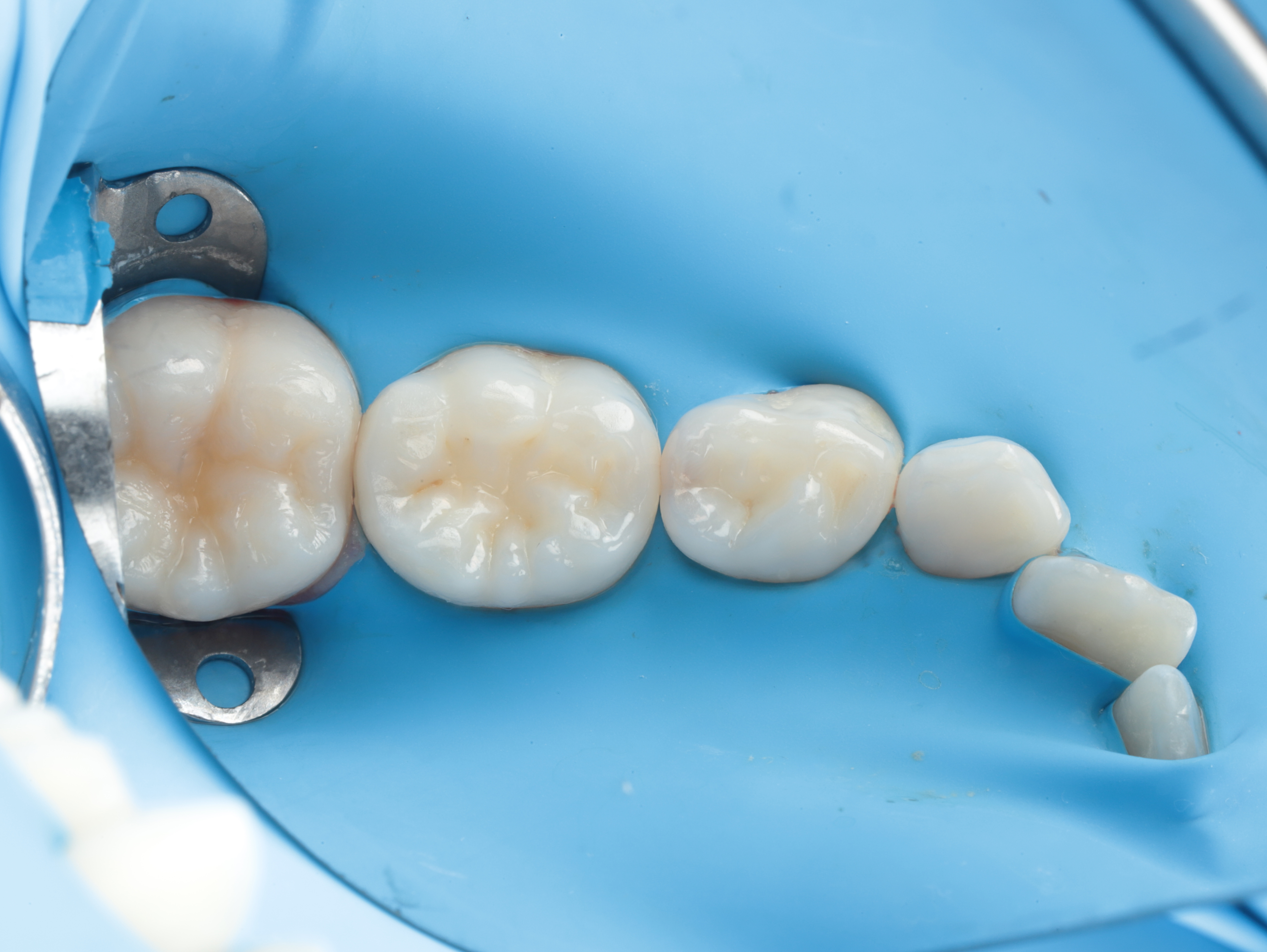 Case Study Image
