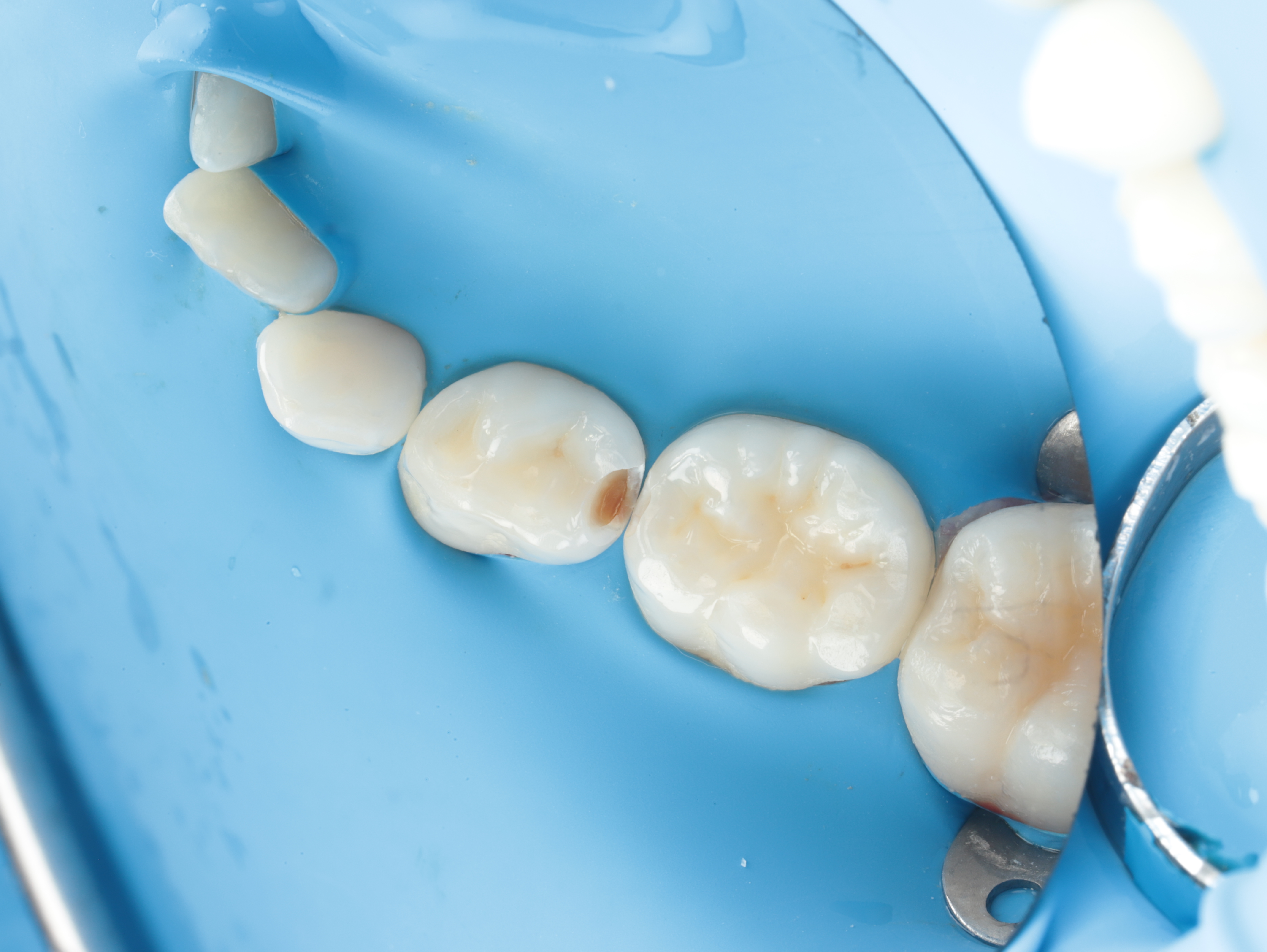 Case Study Image