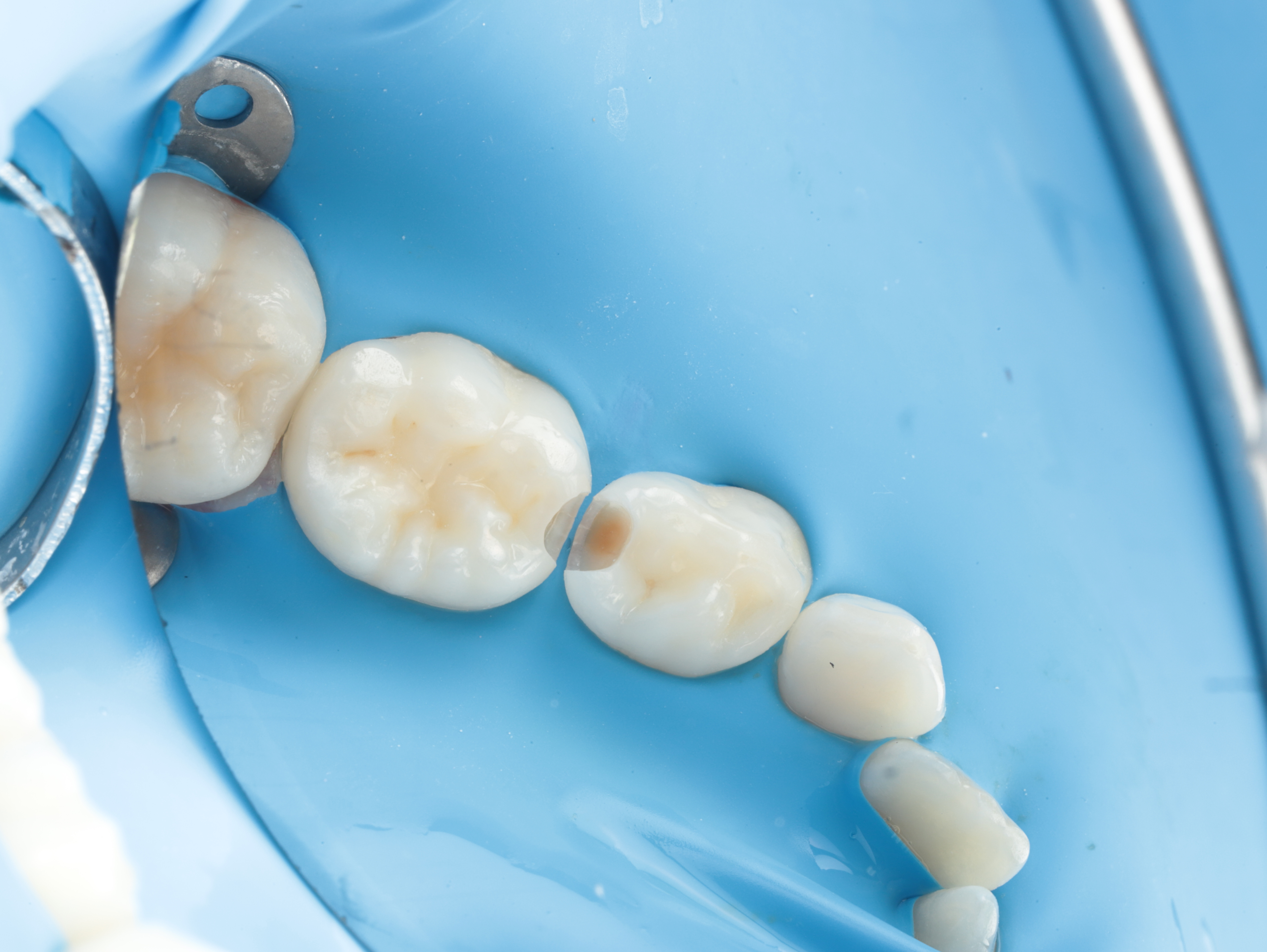 Case Study Image