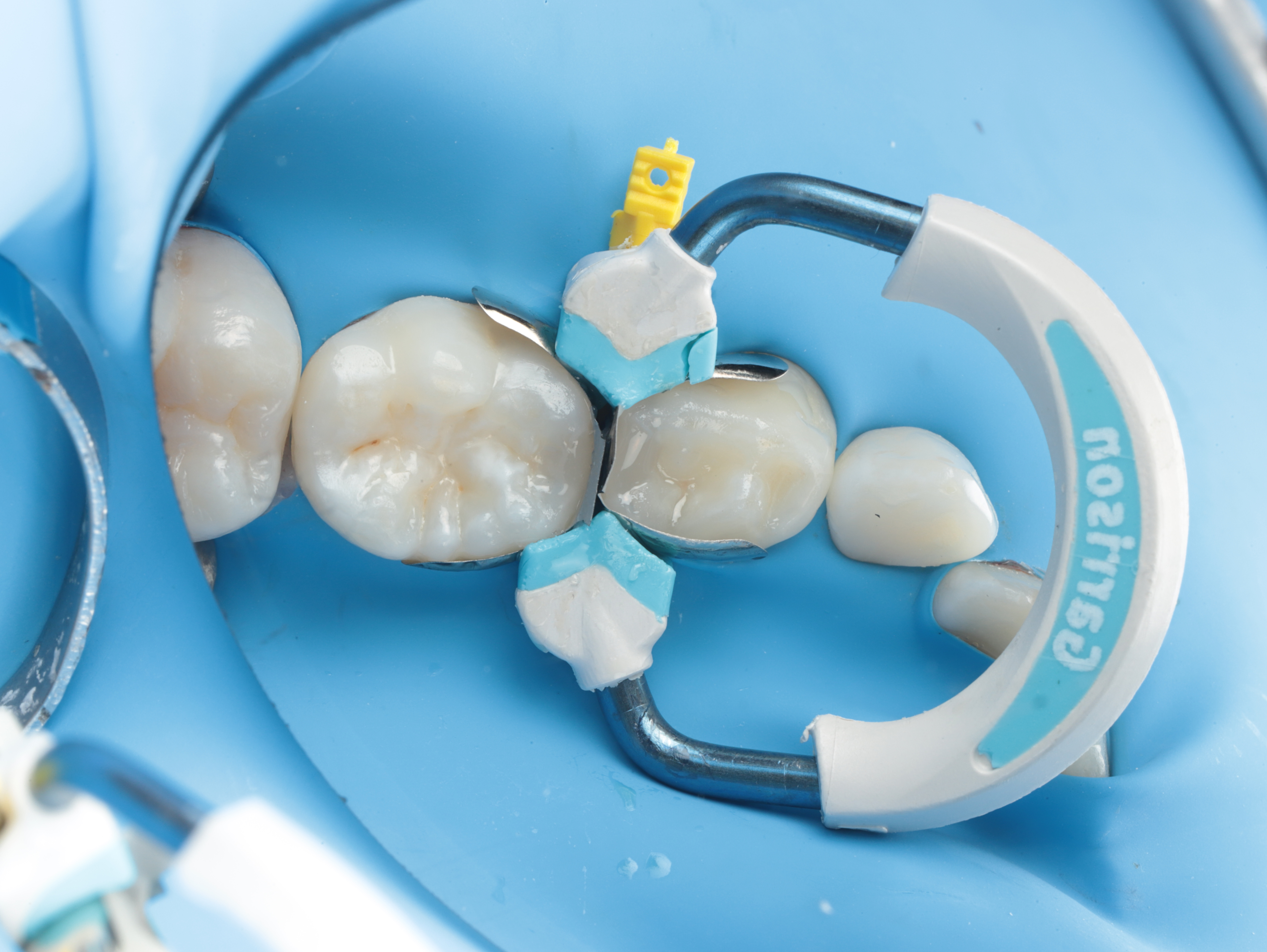 Case Study Image