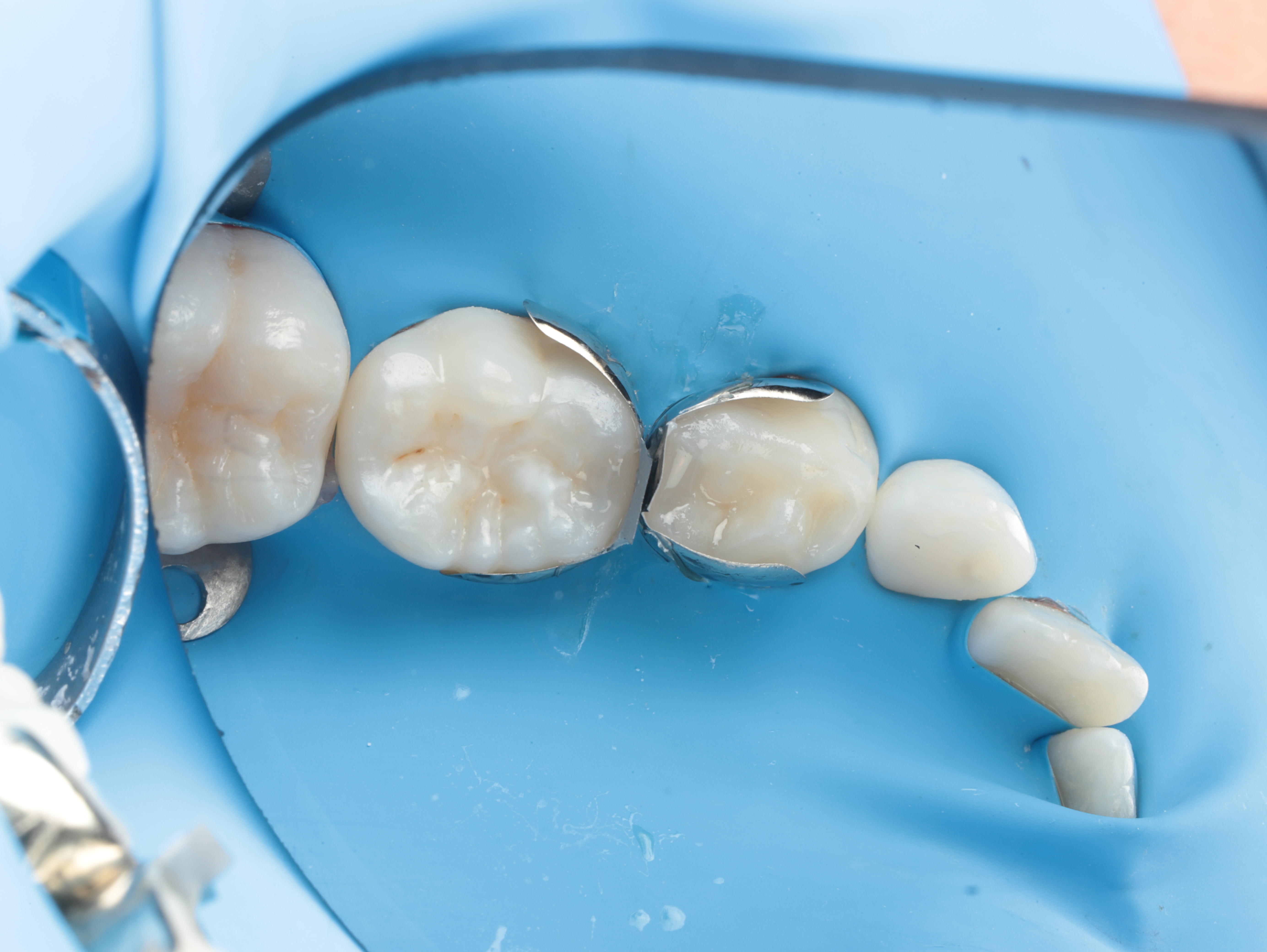 Case Study Image