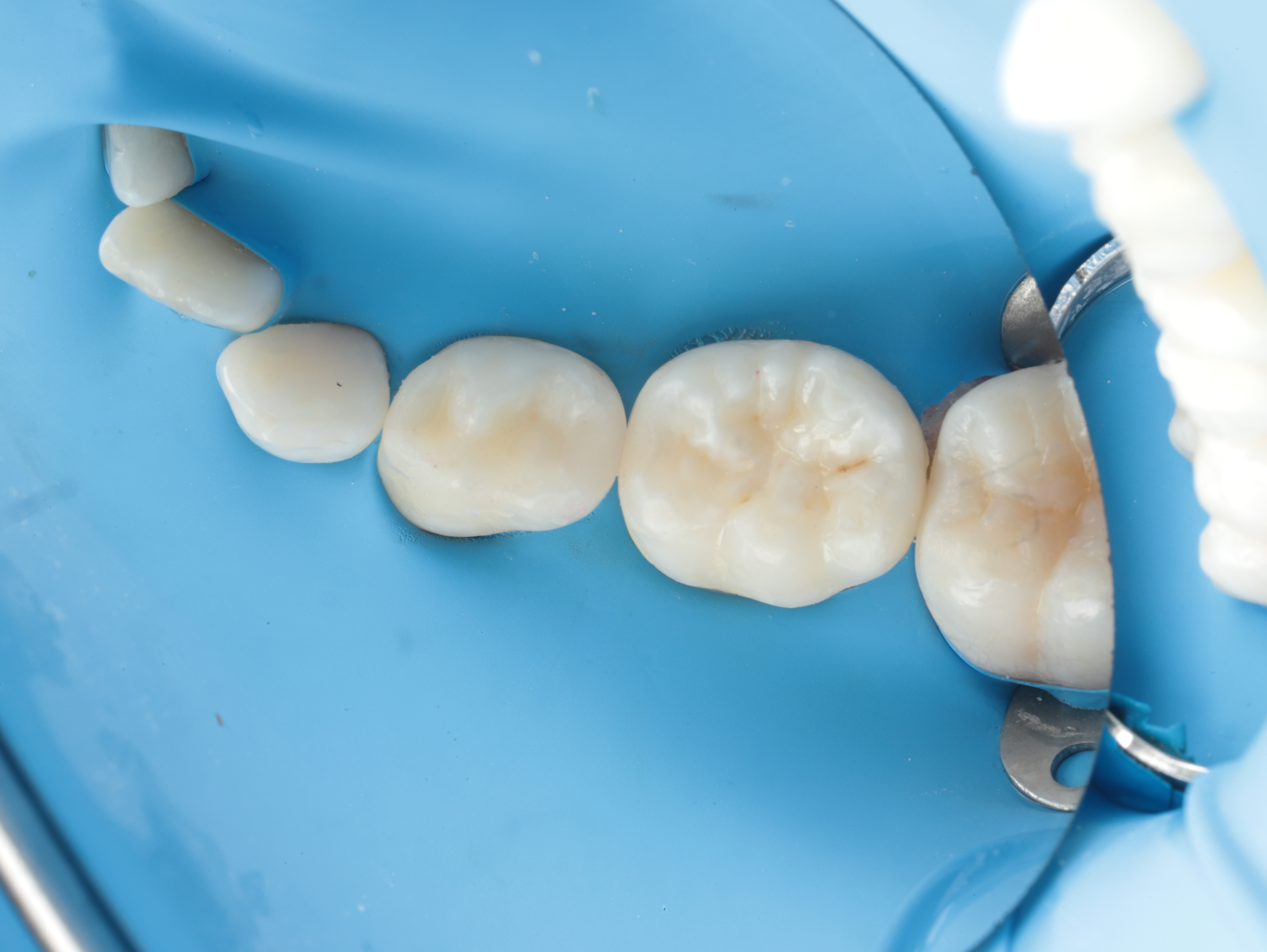 Case Study Image