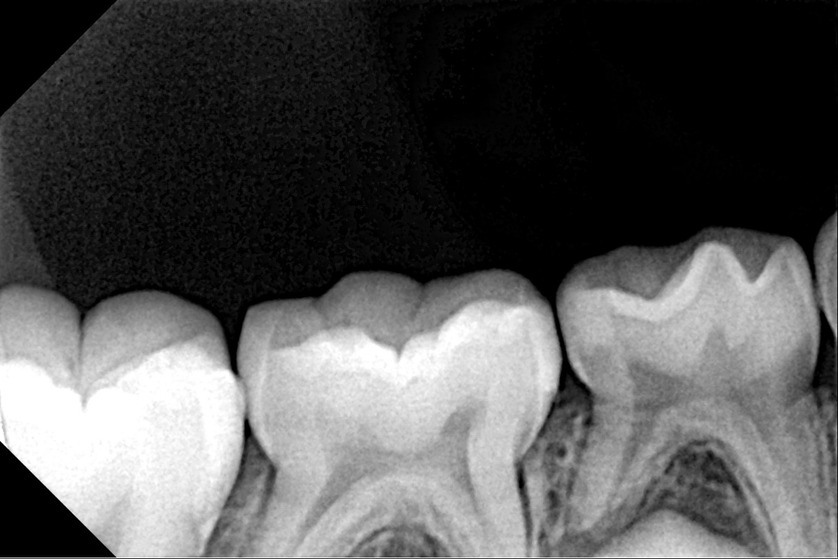 Case Study Image