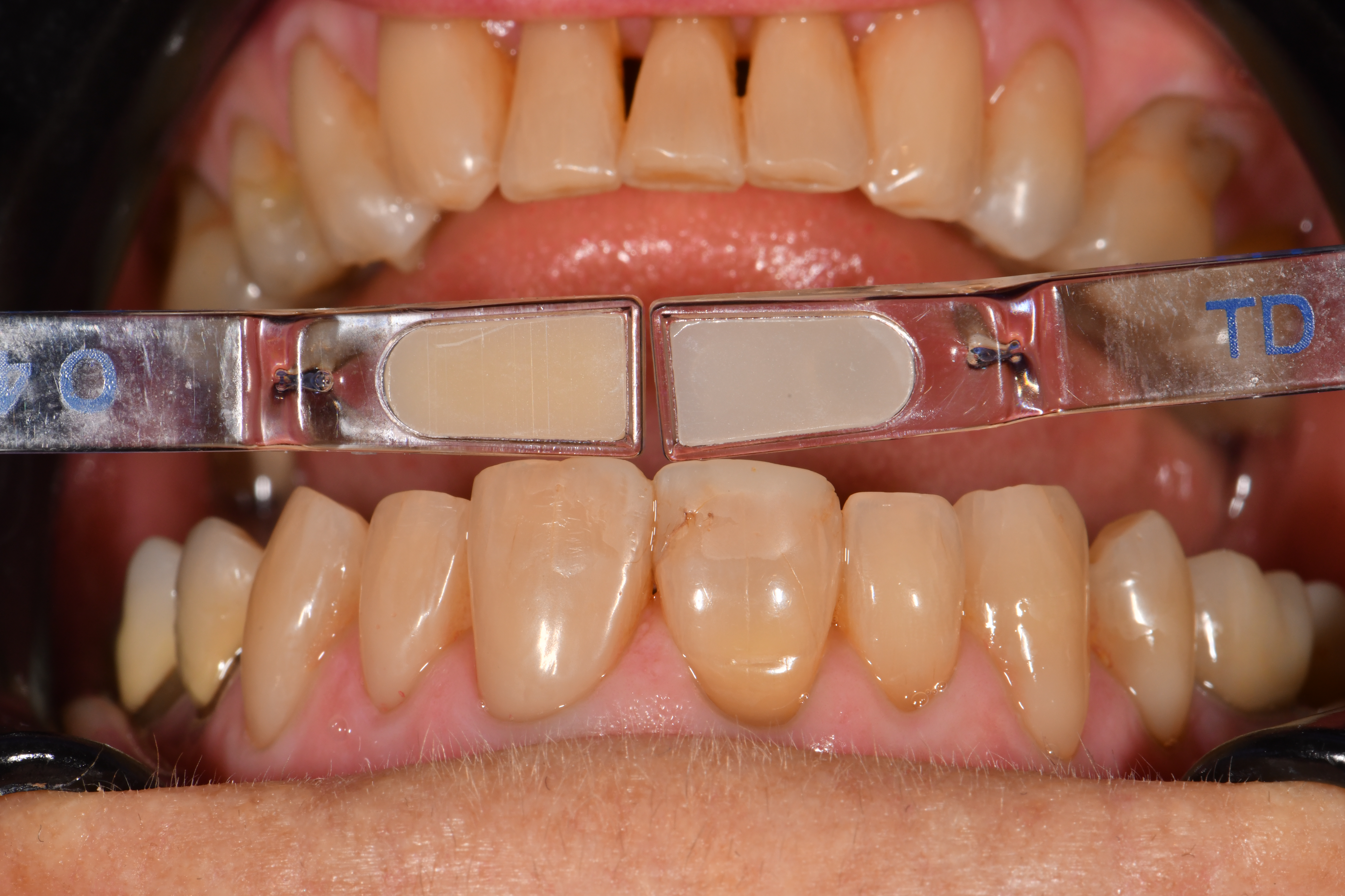 Case Study Image