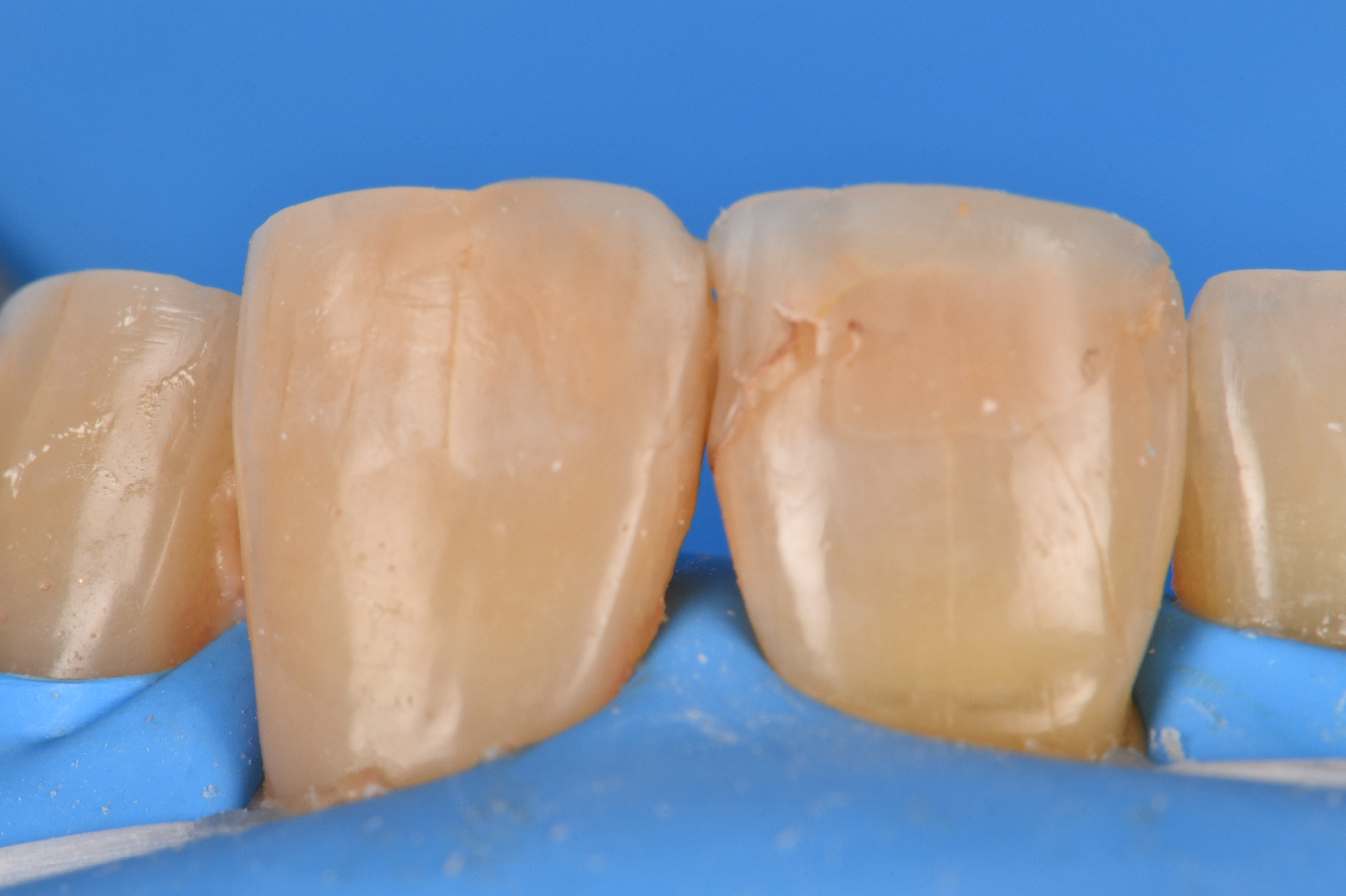 Case Study Image