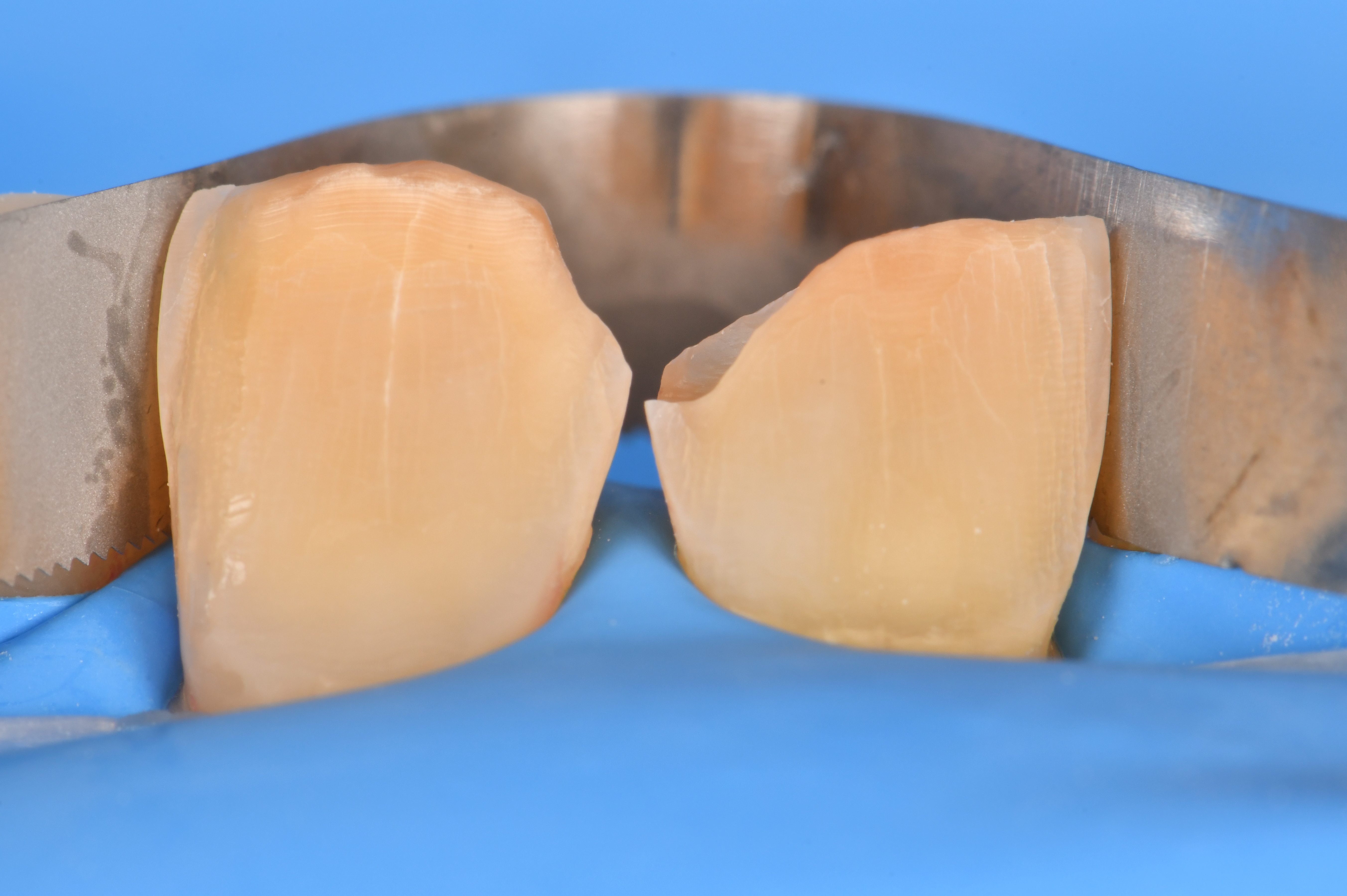 Case Study Image