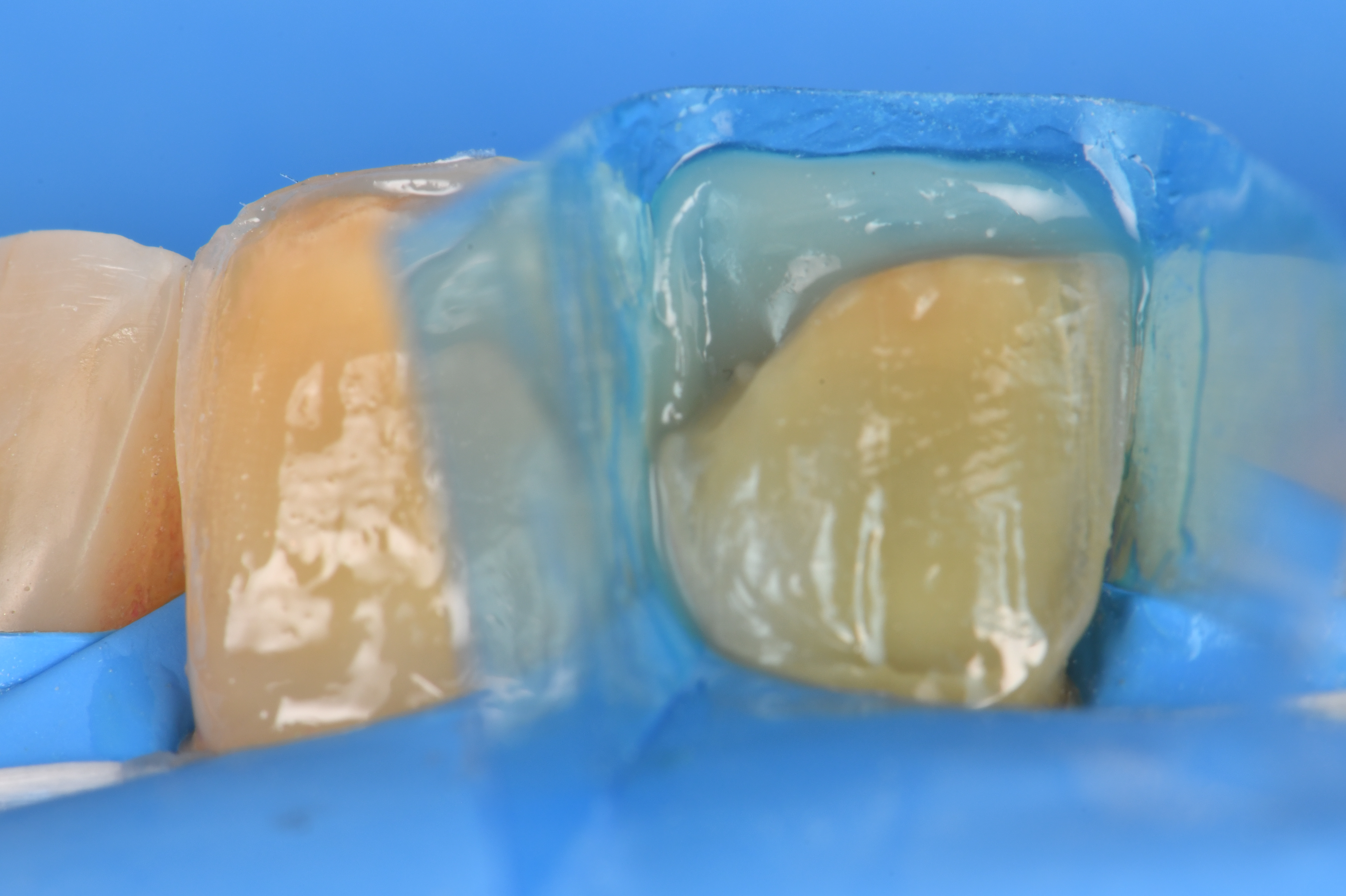 Case Study Image