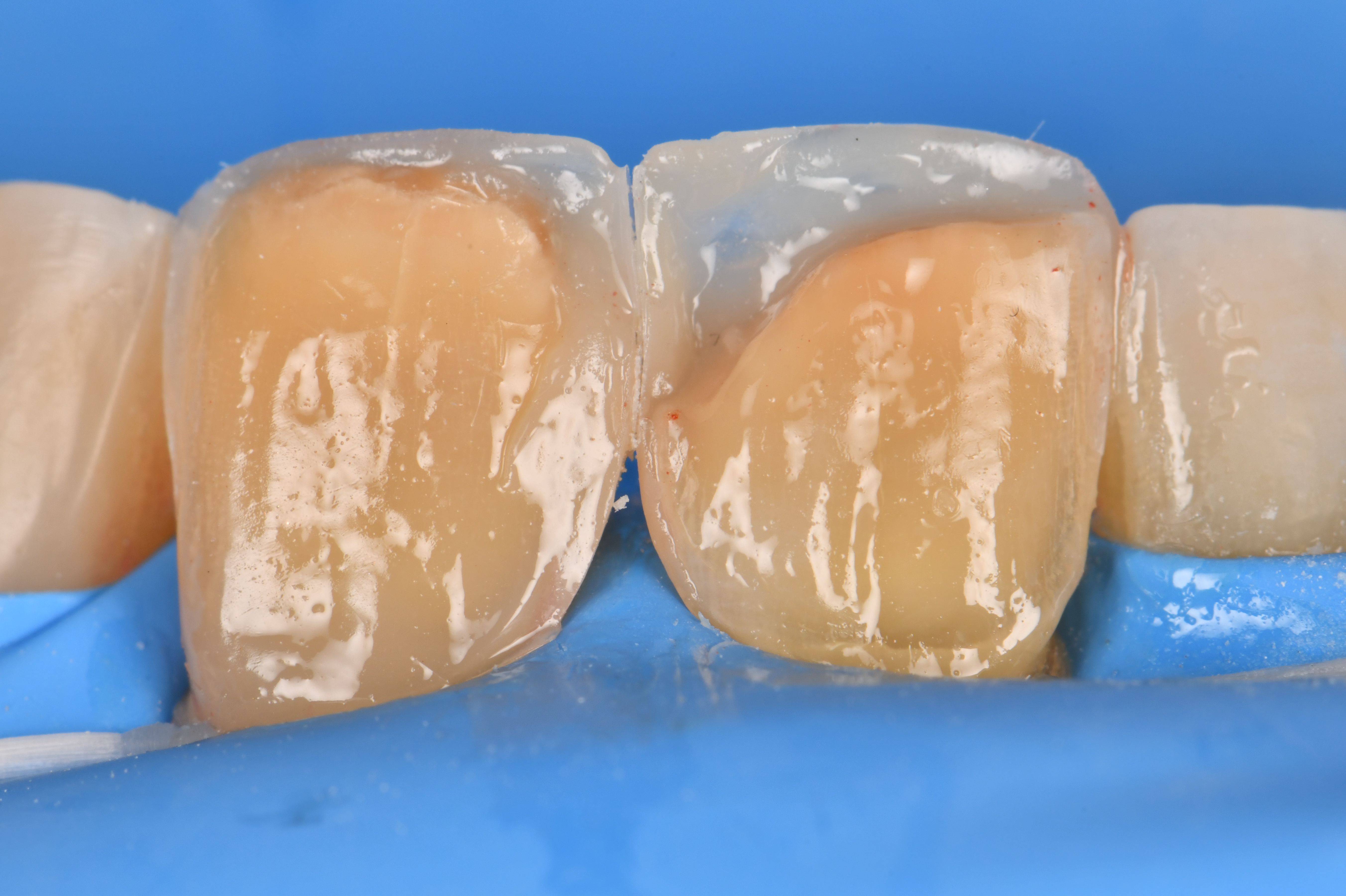 Case Study Image