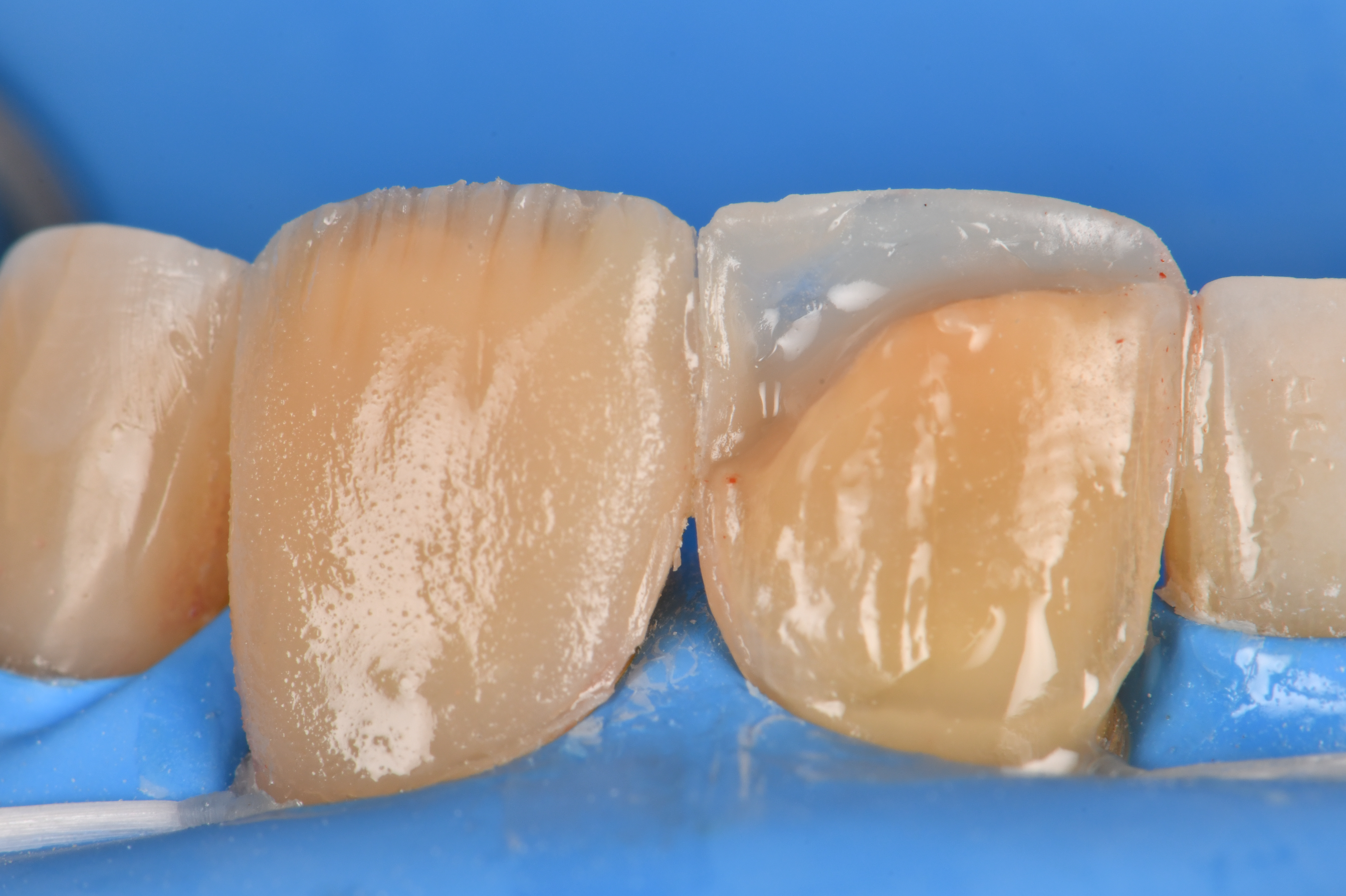 Case Study Image