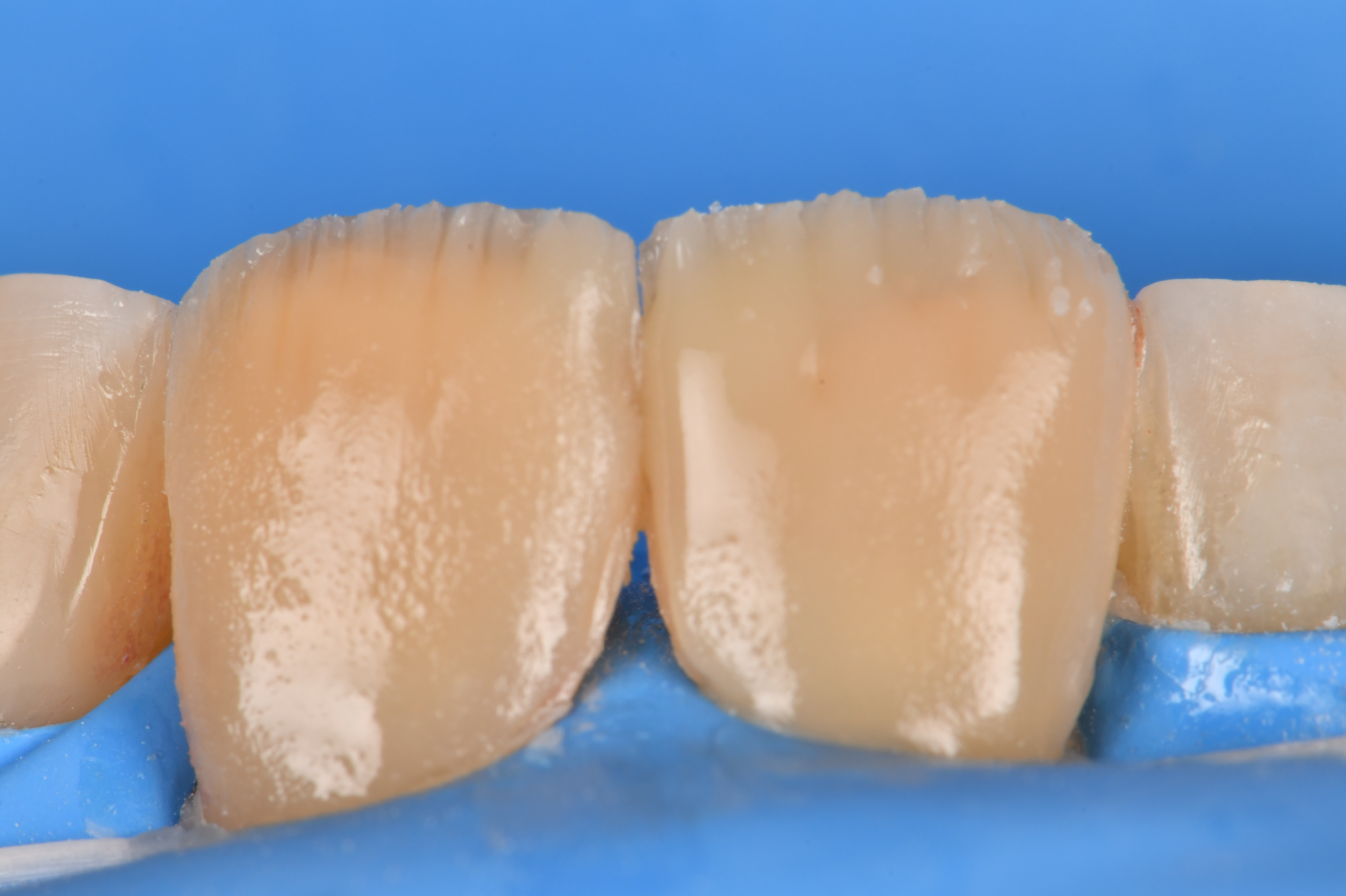 Case Study Image