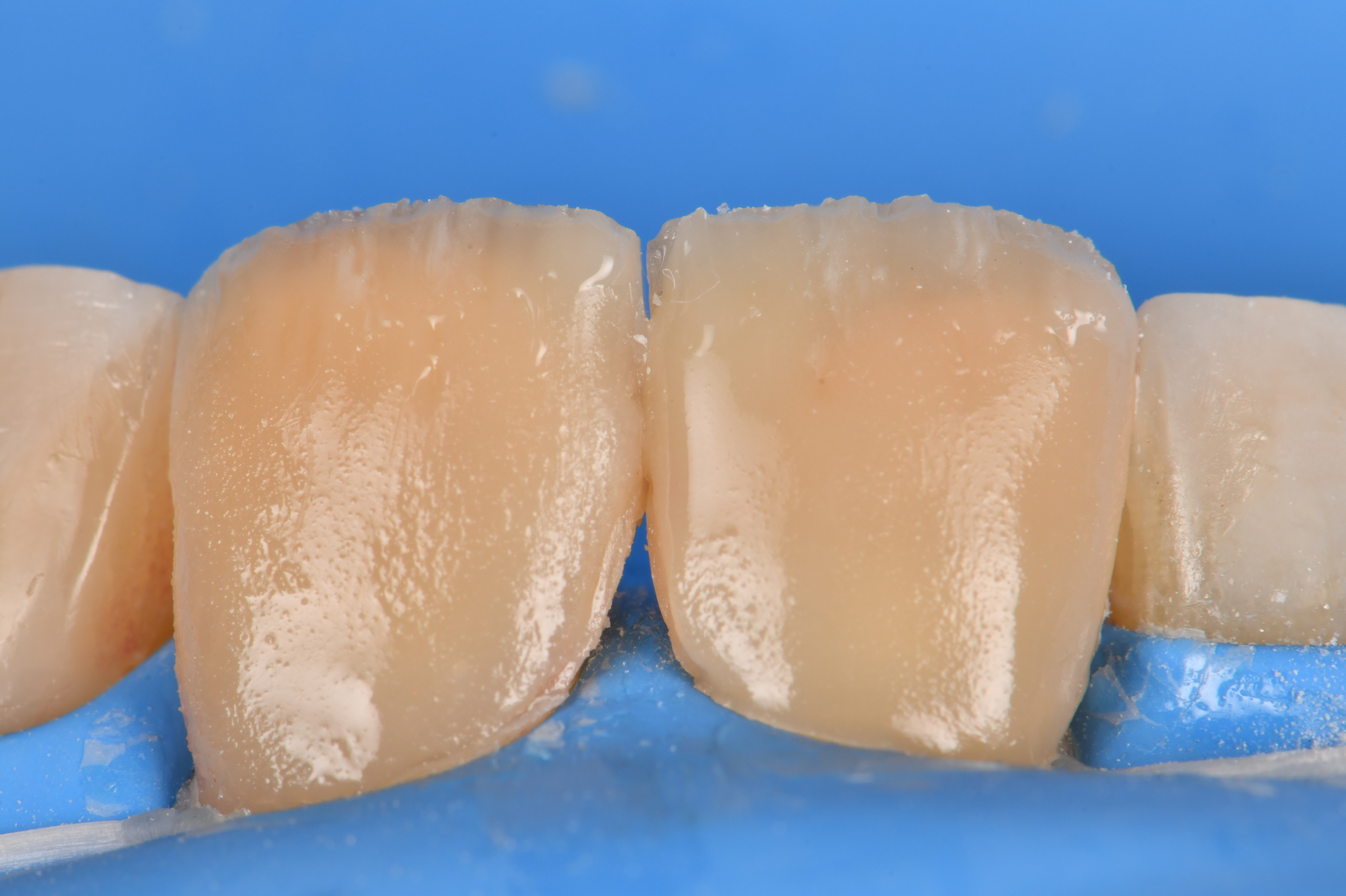 Case Study Image