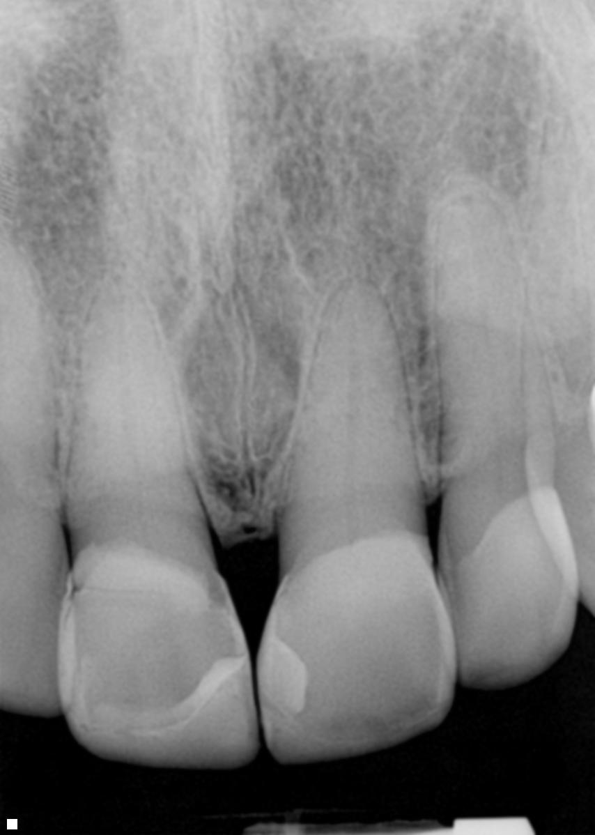 Case Study Image
