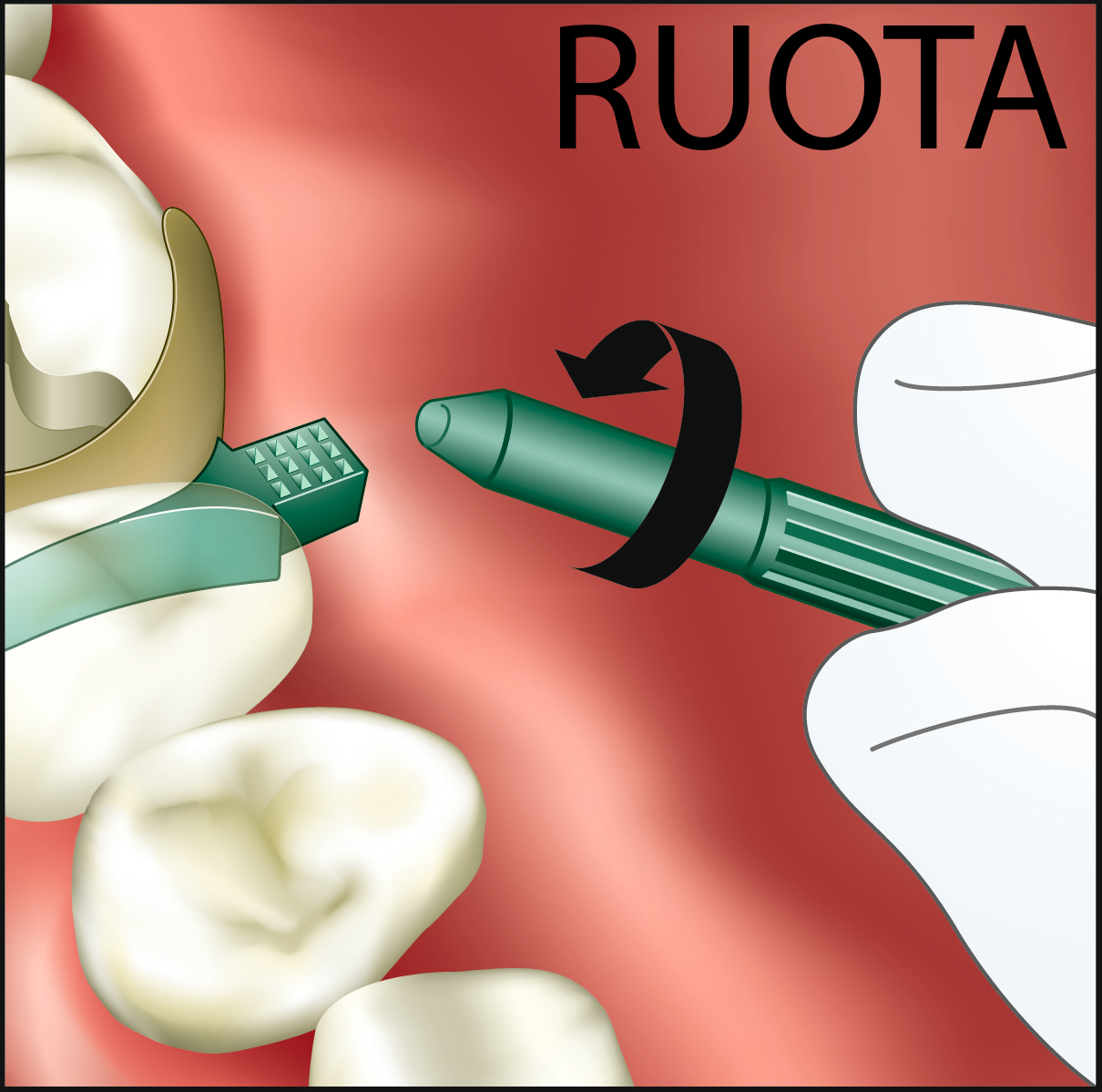 Ruota/Twist