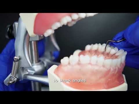Standard Gracey 17/18 Curette | Sharper Angulation, Molar Distal