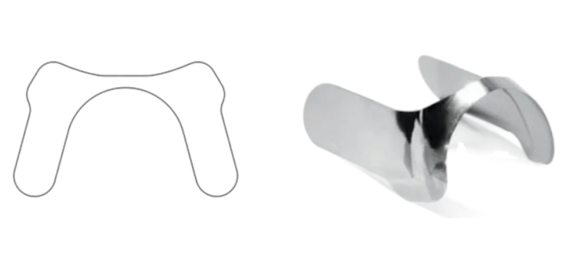 Anterior