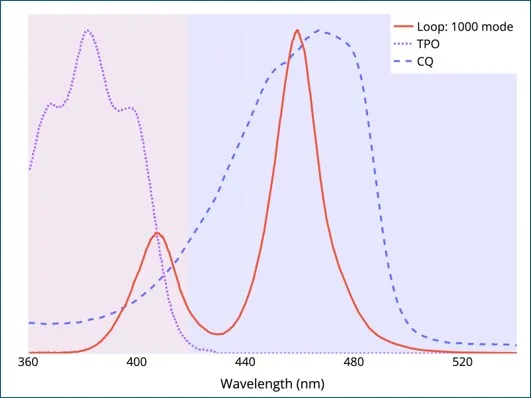 Figure 6 - Loop.jpg