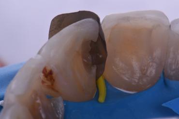 ClarenceTam_004_071321 Figure 4