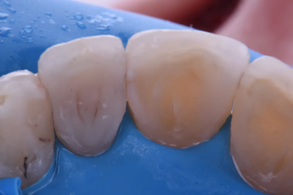 ClarenceTam_005_071321 Figure 5