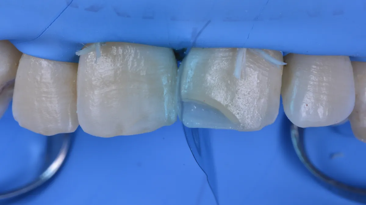 GianlucaRossi_004_04072 Figure 4