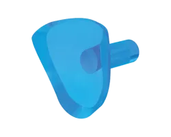 anterior BV cervical