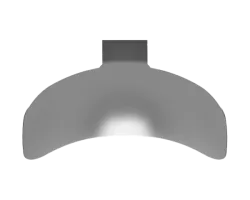 anterior fusion band